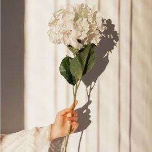 Meet your Posher, Katrina